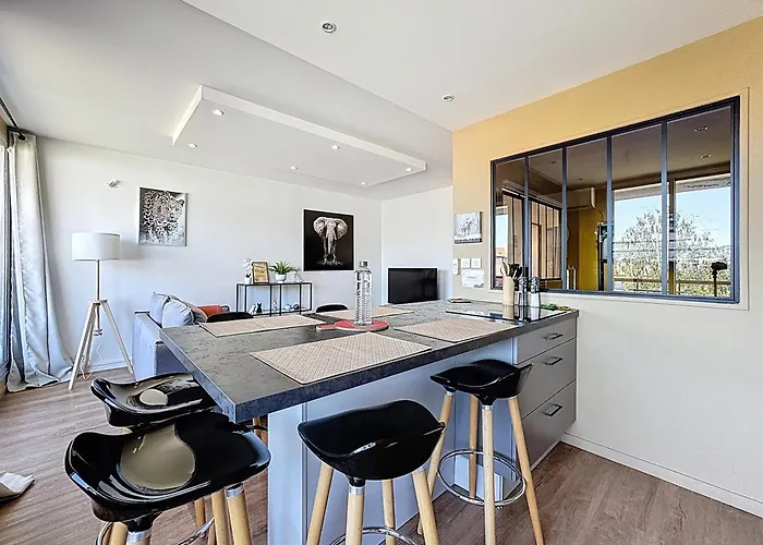 Vue , Clim , Garage Privé 6 Pers Clf-fd Fontgieve * Clermont-Ferrand